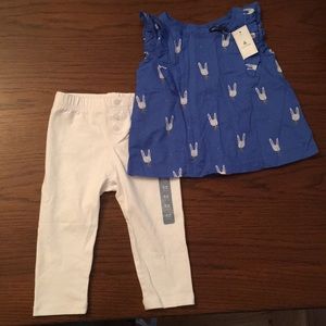 Gap spring outfit 12-18 months (Baby girl)